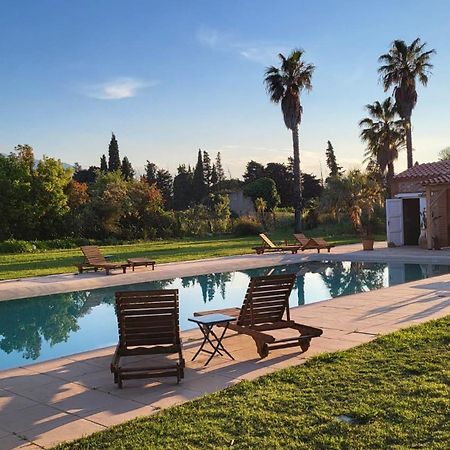 "Mas Tramontane "Chambres D'Hotes Et Studio Avec Piscine Dans Parc Arbore Ille sur Tet Bagian luar foto