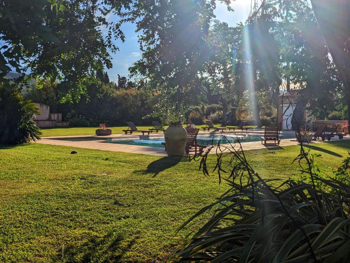 "Mas Tramontane "Chambres D'Hotes Et Studio Avec Piscine Dans Parc Arbore Ille sur Tet Bagian luar foto