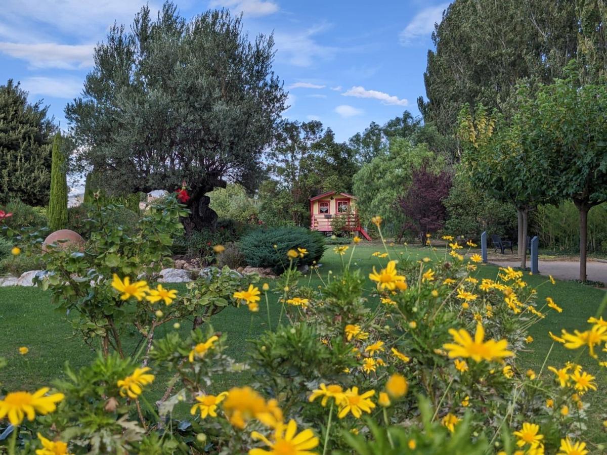 "Mas Tramontane "Chambres D'Hotes Et Studio Avec Piscine Dans Parc Arbore Ille sur Tet Bagian luar foto