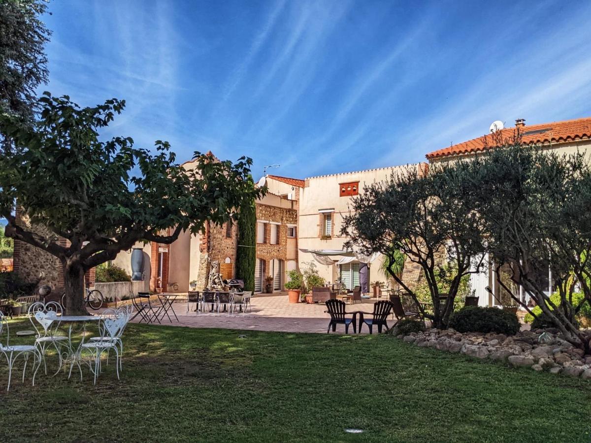 "Mas Tramontane "Chambres D'Hotes Et Studio Avec Piscine Dans Parc Arbore Ille sur Tet Bagian luar foto