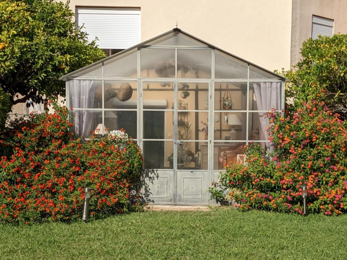 "Mas Tramontane "Chambres D'Hotes Et Studio Avec Piscine Dans Parc Arbore Ille sur Tet Bagian luar foto