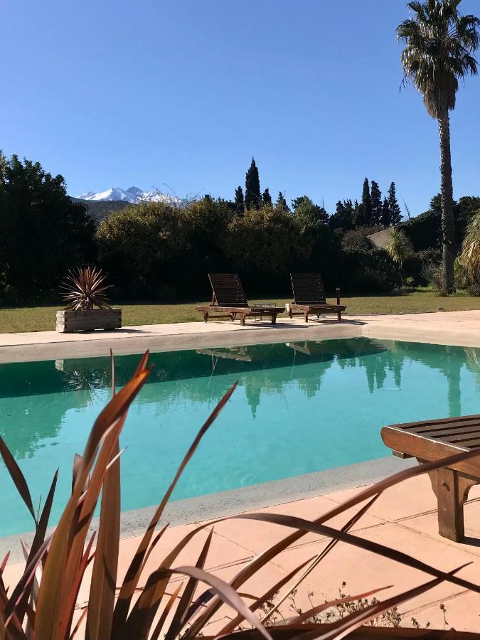 "Mas Tramontane "Chambres D'Hotes Et Studio Avec Piscine Dans Parc Arbore Ille sur Tet Bagian luar foto